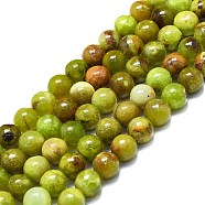 Natural Green Opal Beads Strands, Round, 8mm, Hole: 0.8mm, about 48~52pcs/strand, 15.35''~16.54''(39~42cm)(G-K245-A17-A04)