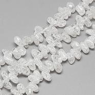 Natural Crackle Quartz Crystal Beads Strands, Chip, 10~15x7~9x5~8mm, Hole: 1mm, about 84pcs/strand, 15.7 inch(G-R439-22A)