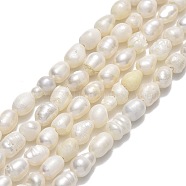 Natural Cultured Freshwater Pearl Beads Strands, Rice, Linen, 4.5~5.5x3~4mm, Hole: 0.5mm, about 56~65pcs/strand, 14.57''(37cm)(PEAR-J006-08B-01)