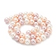 Electroplated Natural Shell Beads Strands(SHEL-F008-03B-06)-2
