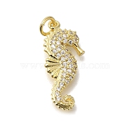 Brass Micro Pave Cubic Zirconia Pendants, with Shell, Seahorse Charms, with Jump Ring, Real 16K Gold Plated, 22x10x2mm(KK-R002-18G)