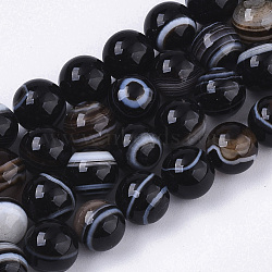 Tibetan Style 1-Eye dZi Beads, Natural Agate Beads Strands, Dyed, Round, 8~9mm, Hole: 1.2mm, about 47~48pcs/strand, 14.96 inch~15.27 inch(38cm~38.8cm)(G-N326-13A-01)