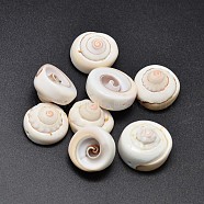 Natural Shiva Eye Shell Beads, PapayaWhip, 17~20x6~13mm, Hole: 1mm, about 127pcs/500g(BSHE-O007-29)