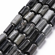 Natural Hawk's Eye Beads Strands, Eagle Eye Stone, Faceted, Column, 8~11x6~8x5~7mm, Hole: 1mm, about 15~17pcs/strand, 7.28~7.48 inch(X-G-S345-8x11-009)