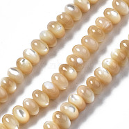 Natural Trochid Shell/Trochus Shell Beads Strands, Rondelle, BurlyWood, 6x4mm, Hole: 0.8mm, about 107~110pcs/strand, 15.75 inch(40cm)(SSHEL-S266-017B)