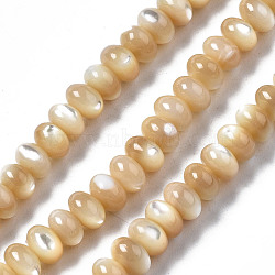 Natural Trochid Shell/Trochus Shell Beads Strands, Rondelle, BurlyWood, 6x4mm, Hole: 0.8mm, about 107~110pcs/strand, 15.75 inch(40cm)(SSHEL-S266-017B)
