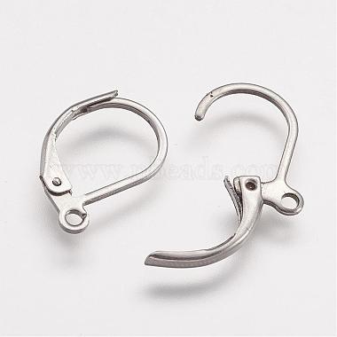 316 Surgical Stainless Steel Leverback Earring Findings(STAS-P113-01)-2