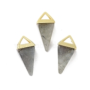 Natural Labradorite Pendants, Triangle Charms with Golden Plated Brass Findings, 18.5mm, Hole: 2x3mm(G-A222-02G-09)