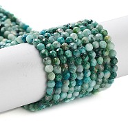 Natural Chrysocolla Beads Strands, Faceted, Round, 3mm, Hole: 0.6mm, about 139pcs/strand, 14.96 inch(38cm)(G-G823-13-3mm-B)