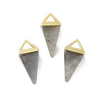 Natural Labradorite Pendants, Triangle Charms with Golden Plated Brass Findings, 18.5mm, Hole: 2x3mm