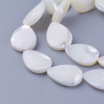 Shell Beads Strands, teardrop, 19.5~20x14.8~15x3.5~4.5mm, Hole: 0.7mm, about 20pcs/strand, 15.43 inch(39.2cm)