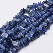 Natural Kyanite/Cyanite/Disthene Chip Beads Strands, 5~14x4~10mm, Hole: 1mm, about 15.5 inch~16.1 inch(G-E271-78)