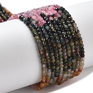 Gradient Color Natural Colorful Tourmaline Beads Strands, Faceted, Rondelle, 3x2mm, Hole: 0.5mm, about 192pcs/strand, 15.43''(39.2cm)(G-ONLY-T-A07-01)