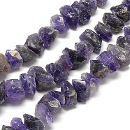 Natural Amethyst Beads Strands, Nuggets, 7~15x9.5~13x9.5~13mm, Hole: 1mm, about 43~45pcs/strand, 15.7 inch(G-R427-01)