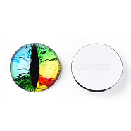 Glass Cabochons, Half Round with Evil Eye, Vertical Pupil, Colorful, 20x6.5mm(GGLA-T004-02-G)