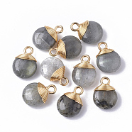 Natural Labradorite Pendants, with Golden Tone Brass Wires and Iron Loops, Half Hole/Drilled, Flat Round, 14~15x10~11x5~6mm, Hole: 1.5~2mm(G-S359-021A)