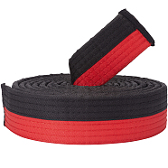 Taekwondo Belt, Martial Arts Perfomance Accessories, Red, 2800x40x5.5mm(AJEW-WH0314-341C)