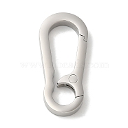 304 Stainless Steel Keychain Clasps, Plane Surface, Stainless Steel Color, 49x23x6mm(STAS-G321-05P)