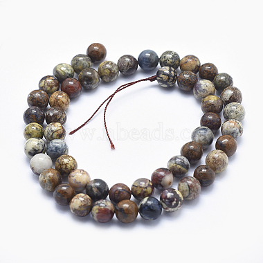 Natural Pietersite Beads Strands(G-K256-49-8mm)-2