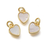 Brass & Natural Shell Heart Charms, with Jump Rings, Cadmium Free & Lead Free, Rack Plating, Long-Lasting Plated, Seashell Color, Real 18K Gold Plated, 8x6x2.3mm, Hole: 2mm(KK-D431-025B-01G)