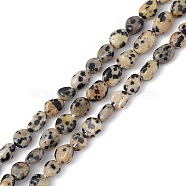 Natural Dalmatian Jasper Beads Strands, Chip, 6.5~10x5~7x5~7mm, Hole: 1mm, about 51~54pcs/strand, 15.75''(40cm)(G-B039-03B)