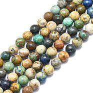 Natural Chrysocolla and Lapis Lazuli Beads Strands, Round, 9.5~10mm, Hole: 1mm, about 41pcs/strand, 15.55 inch(39.5cm)(G-F715-105C)