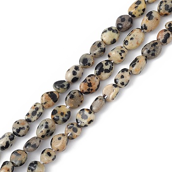 Natural Dalmatian Jasper Beads Strands, Chip, 6.5~10x5~7x5~7mm, Hole: 1mm, about 51~54pcs/strand, 15.75''(40cm)