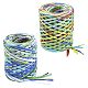 2 Rolls 2 Styles Raffia Ribbon(OCOR-CJ0004-09)-1