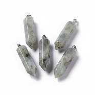 Natural Labradorite Double Terminated Pointed Pendants, with Platinum Tone Brass Findings, Bullet, 39x10x10mm, Hole: 3x6mm(G-G926-01P-07)