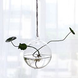 Hanging Glass Plants Planters, Transparent Hydroponic Glass Vase for Indoor Garden Home Decoration, Round, 120mm(PW-WG28732-08)