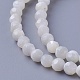 Shell Beads Strands(SSHEL-E571-38-4mm)-1