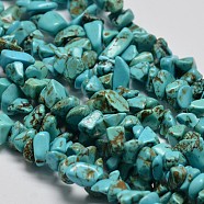 Chips Synthetic Turquoise Beads Strands, Dyed, Dark Turquoise, 5~8x5~8mm, Hole: 1mm, 34 inch(G-N0134-08A)