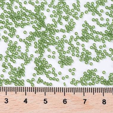 MIYUKI Round Rocailles Beads(X-SEED-G009-RR0158F)-3