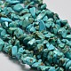 Chips Synthetic Turquoise Beads Strands(G-N0134-08A)-1