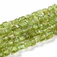 Natural Peridot Beads Strands, Nuggets, 5~8x5x4~5mm, Hole: 0.8mm, about 67pcs/Strand, 15.75 inch(40cm)(G-D0004-A02-03)