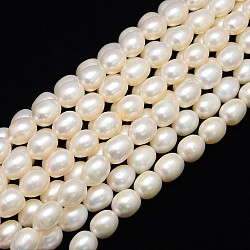 Natural Cultured Freshwater Pearl Beads Strands, Rice, Creamy White, 12~14x10~11, Hole: 0.8mm, about 32pcs/strand, 13.77 inch~14.17 inch(PEAR-L001-B-09)