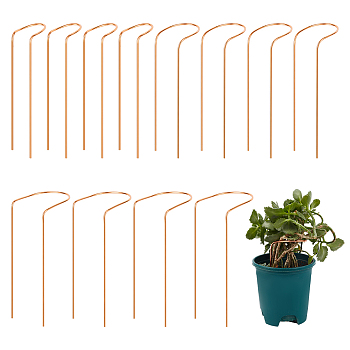 12Pcs 3 Styles Copper Plant Growth Support, Raw(Unplated), 200x30~80mm, 4pcs/style