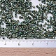 Perles miyuki delica(X-SEED-J020-DB0125)-4