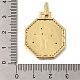 Rack Plating Brass Micro Pave Cubic Zirconia Pendants(ZIRC-F142-20G-02)-3