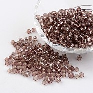 6/0 Round Silver Lined Round Hole Glass Seed Beads, Rosy Brown, 4mm, Hole: 1.5mm, about 496pcs/50g(X-SEED-A005-4mm-56)