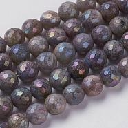 Natural Labradorite Beads Strands, Faceted, Round, 6mm, Hole: 1mm, about 65pcs/strand, 14.9 inch(G-J376-49-6mm)