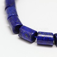 Natural Lapis Lazuli Column Bead Strands, Dyed, 9x7mm, Hole: 1mm, about 42pcs/strnad, 15 inch(X-G-I115-04)