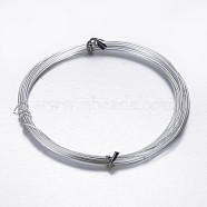Round Aluminum Wire, Bendable Metal Craft Wire, for DIY Arts and Craft Projects, Gainsboro, 10 Gauge, 2.5mm, 5m/roll(16.4 Feet/roll)(AW-D009-2.5mm-5m-21)