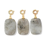 Natural Labradorite Pendant Decorations, with Brass Spring Ring Clasps, Golden, Rectangle, 30.5~31.5mm(G-G461-01G-07)