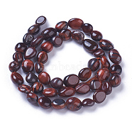 Natural Tiger Eye Beads Strands, Tumbled Stone, Nuggets, Coconut Brown, 6~11x5~8mm, Hole: 1mm, about 46~48pcs/strand, 15.7 inch(40cm)(G-P433-07A)