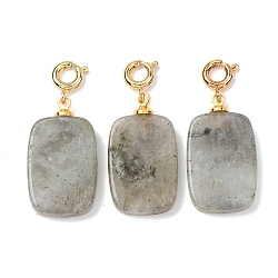 Natural Labradorite Pendant Decorations, with Brass Spring Ring Clasps, Golden, Rectangle, 30.5~31.5mm(G-G461-01G-07)