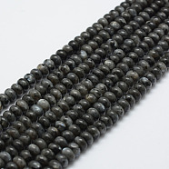 Natural Labradorite Beads Strands, Rondelle, 6x4mm, Hole: 1mm, about 96~97pcs/strand, 15.3 inch(39cm)(G-G665-06-6x4mm)