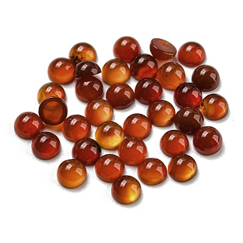 Natural Red Agate Cabochons, Half Round, 4x2~2.5mm