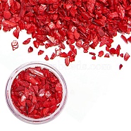 Shell Chip, Manicure Nail Art Decoration, Red, 0.5~10x0.5~7x0.1~3mm, about 3g/box(MRMJ-Q049-001A-B)