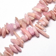 Natural Kunzite Chip Beads Strands, Spodumene Beads, 8~30x5~12mm, Hole: 1mm, about 15.3 inch~15.7 inch(G-E271-29)